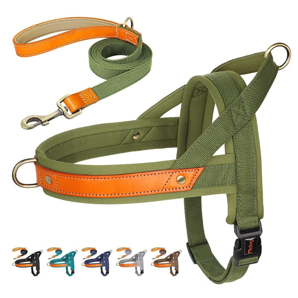 Load image into Gallery viewer, King Inspector - 2 Piece Set - Harness & Leash