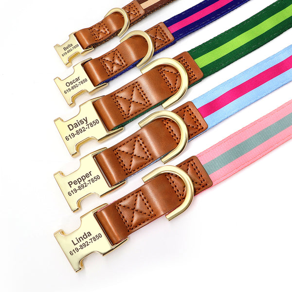 Load image into Gallery viewer, Design Line - Personalised Collar