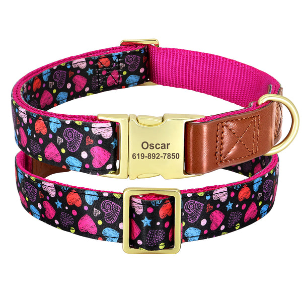 Load image into Gallery viewer, Colour Burst - Personalised Collars