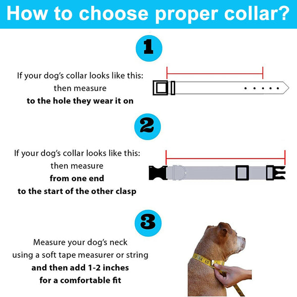 Load image into Gallery viewer, Reflect Line - Personalised Collar