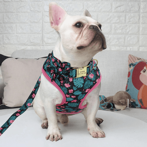 Load image into Gallery viewer, bulldog wearing floral dog personalised collar and harness and leash set purple