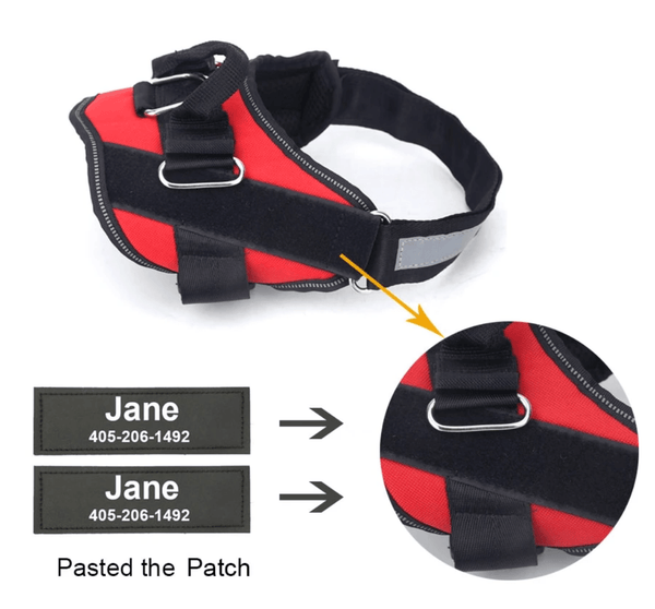 Load image into Gallery viewer, ID Pup Desert - Personalised Harness