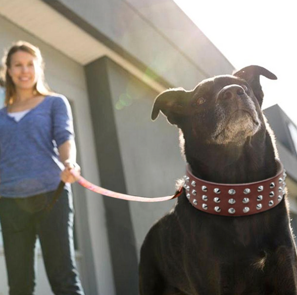 Load image into Gallery viewer, Leather Rivet Collar
