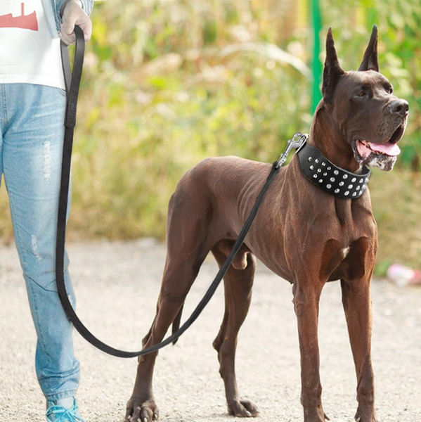 Load image into Gallery viewer, Leather Rivet Collar