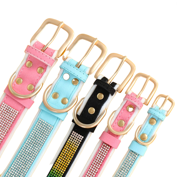 Load image into Gallery viewer, Hollywood Lights - Personalised Collar