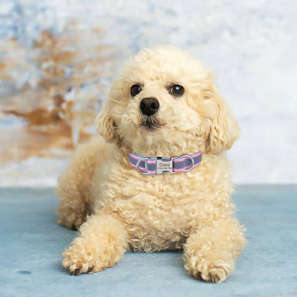 Load image into Gallery viewer, Reflect Line - Personalised Collar