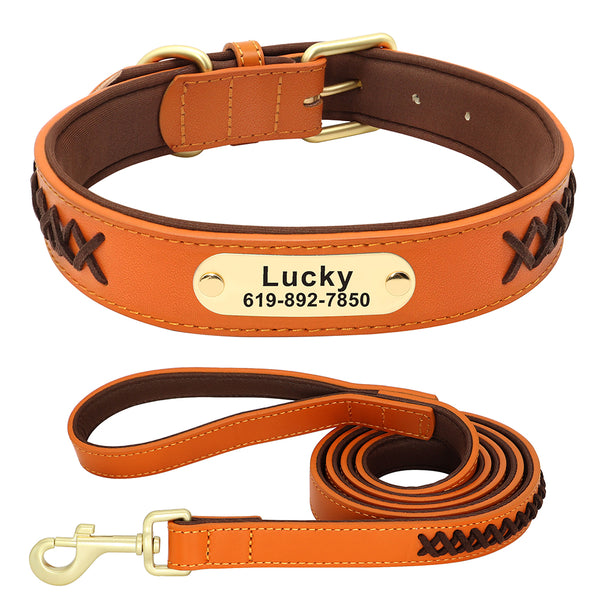 Load image into Gallery viewer, Colour Plait Gold Limited - 2 Piece Set - Leash & Personalised Collar