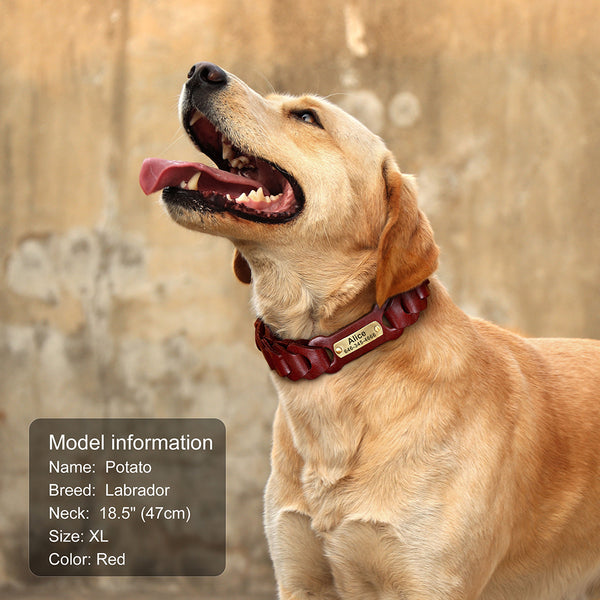 Load image into Gallery viewer, Leather Link - Personalised Collar