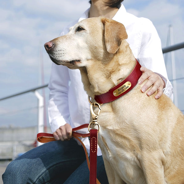 Load image into Gallery viewer, Diesel Leather Leash