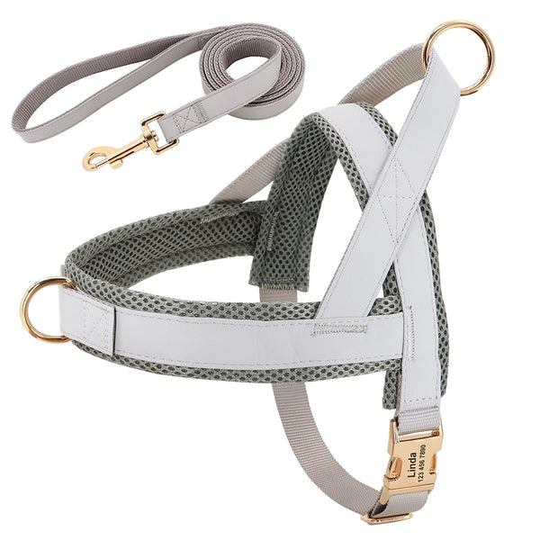 Load image into Gallery viewer, Sleek Pup - 2 Piece Set - Leash & Personalised Harness