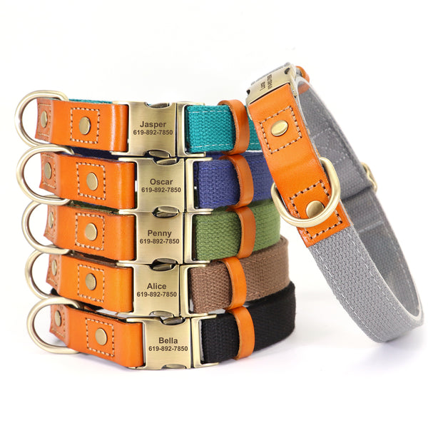 Load image into Gallery viewer, King Inspector - 2 Piece Set - Leash & Personalised Collar