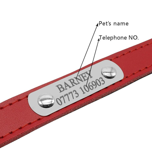 Load image into Gallery viewer, Smug Pug - 2 Piece Set - Personalised Collar & Leash