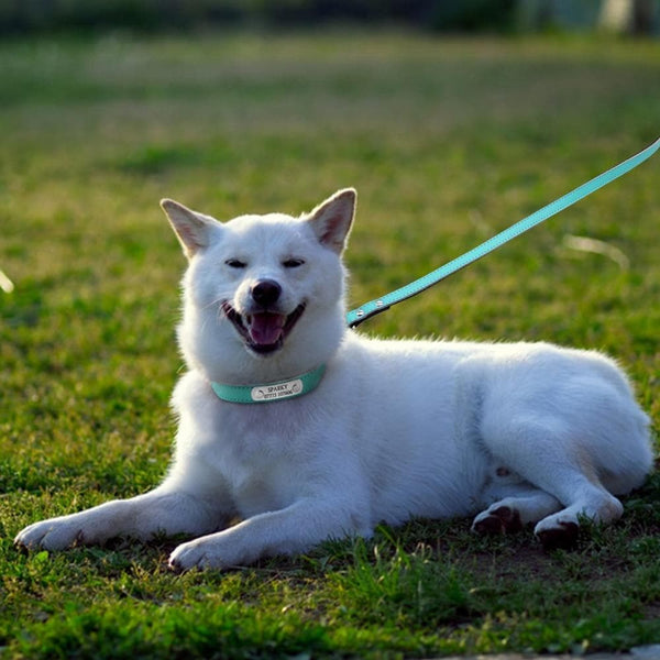 Load image into Gallery viewer, Smug Pug - 2 Piece Set - Personalised Collar & Leash