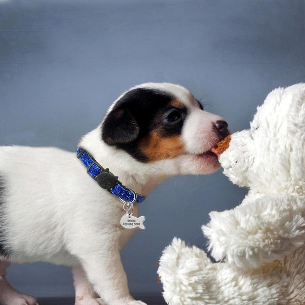 Load image into Gallery viewer, Sparkle Spunk - Personalised Collar