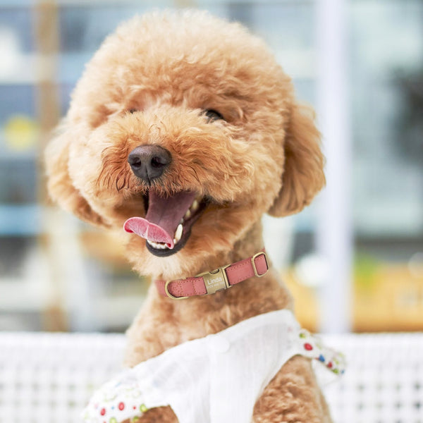 Load image into Gallery viewer, Satin Suede - Personalised Collar