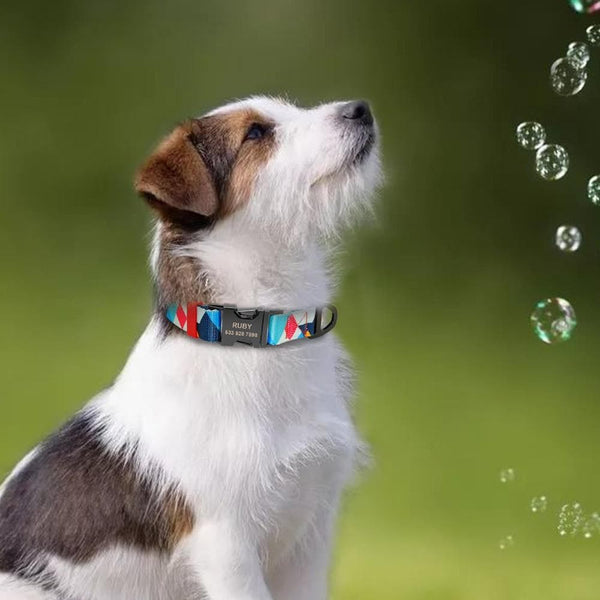 Load image into Gallery viewer, Colour Pop - Personalised Collar