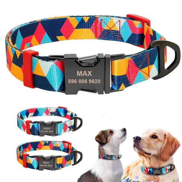 Load image into Gallery viewer, Colour Pop - Personalised Collar