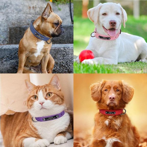 Load image into Gallery viewer, Milano - Personalised Collar