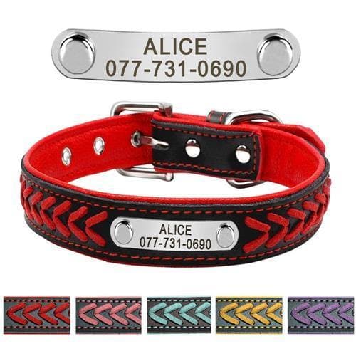 Load image into Gallery viewer, Personalised pet collars red