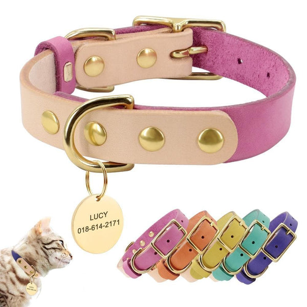 Load image into Gallery viewer, Personalised dog collar with engraving of name and phone number
