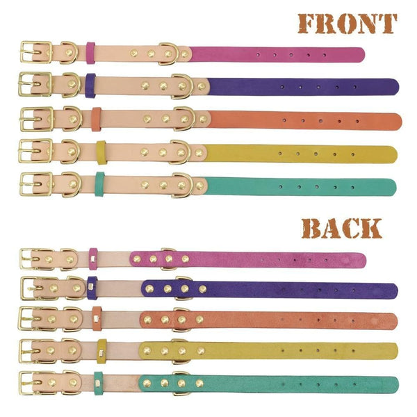 Load image into Gallery viewer, Personalised dog collar with engraving of name and phone number