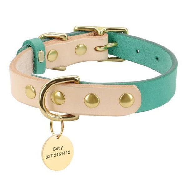 Load image into Gallery viewer, Personalised dog collar with engraving of name and phone number
