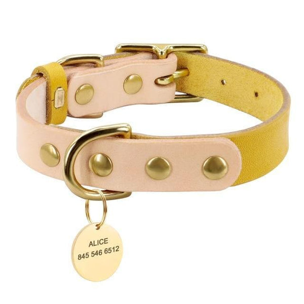 Load image into Gallery viewer, Personalised dog collar with engraving of name and phone number