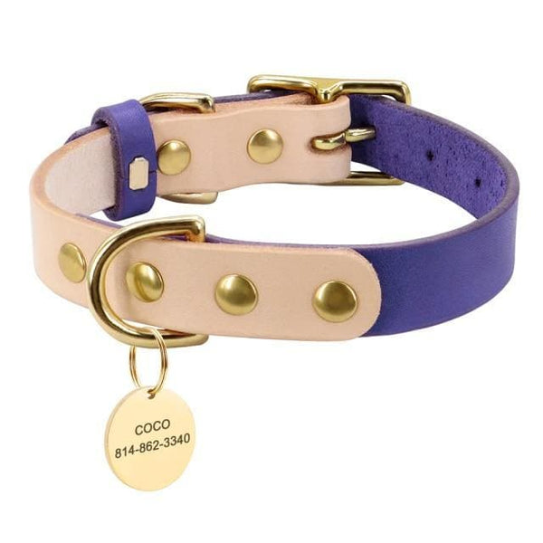 Load image into Gallery viewer, Personalised dog collar with engraving of name and phone number