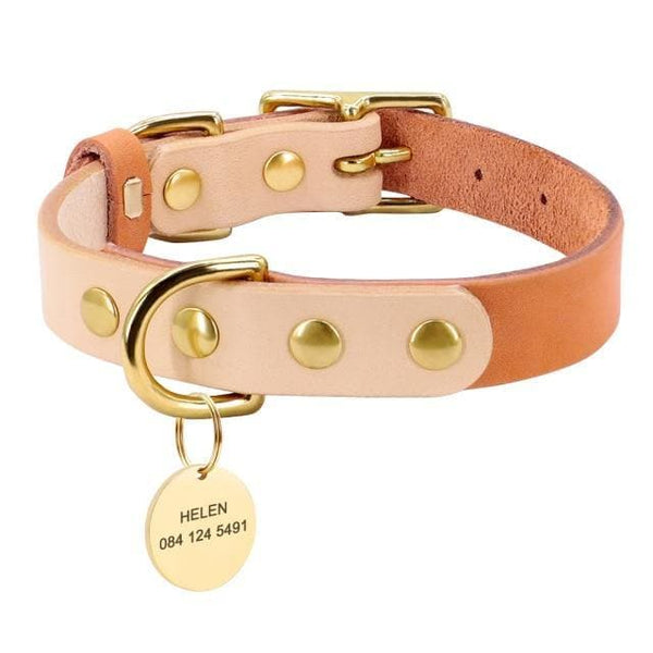 Load image into Gallery viewer, Personalised dog collar with engraving of name and phone number