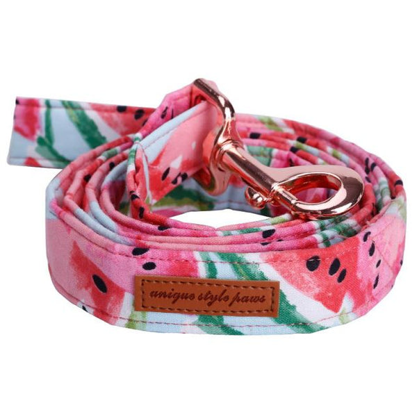 Load image into Gallery viewer, Watermelon Crush Collar