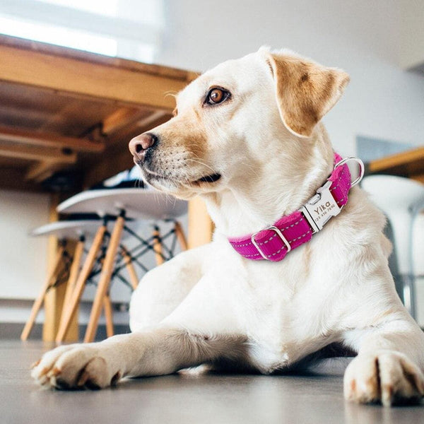 Load image into Gallery viewer, Personalised dog collar with engraving and matching leash set