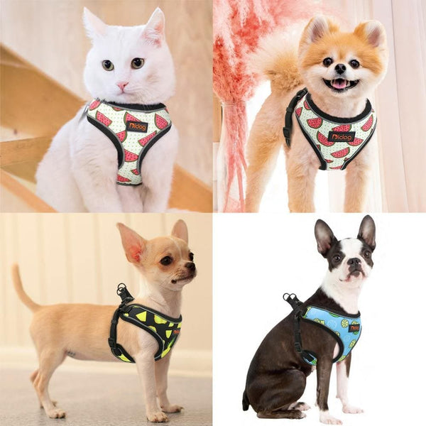 Load image into Gallery viewer, Fruit print pet harness adjustable and reflective