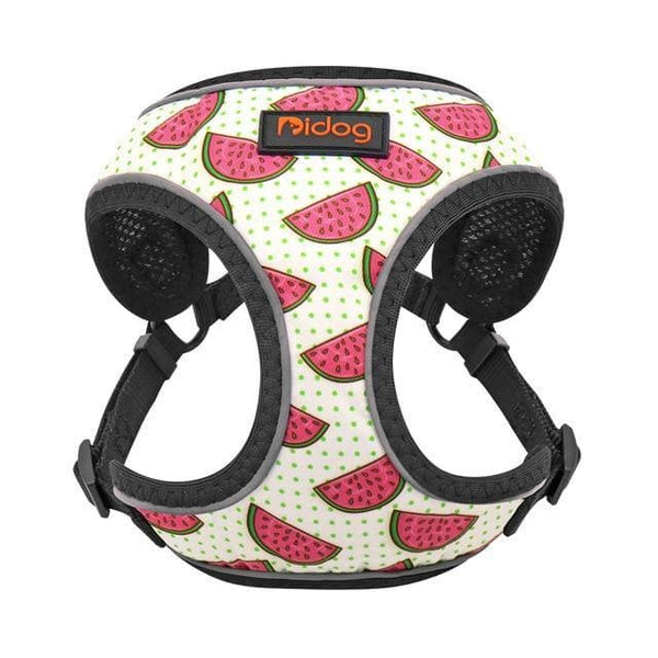 Load image into Gallery viewer, Fruit print pet harness adjustable and reflective