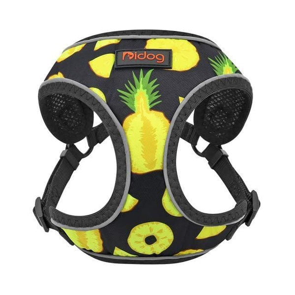 Load image into Gallery viewer, Fruit print pet harness adjustable and reflective