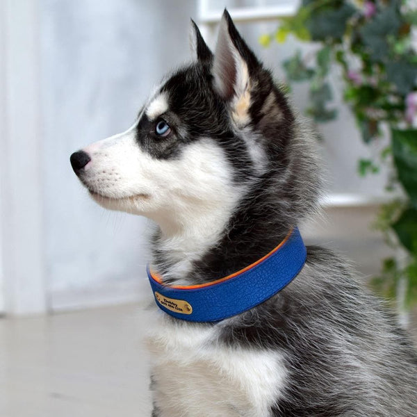 Load image into Gallery viewer, leather personalised dog collar engraved