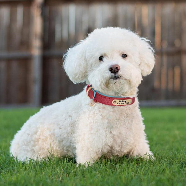 Load image into Gallery viewer, leather personalised dog collar engraved