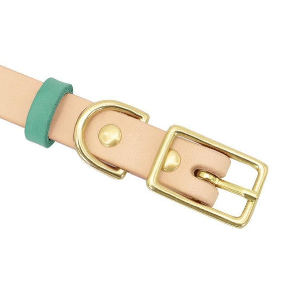 Load image into Gallery viewer, Personalised dog collar with engraving of name and phone number