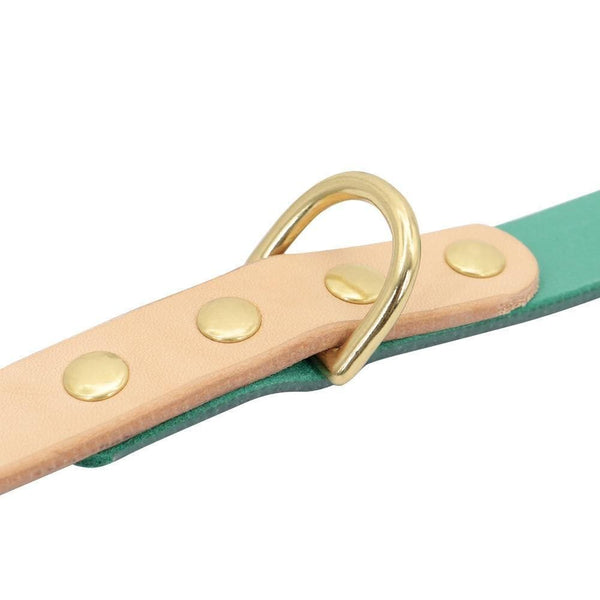 Load image into Gallery viewer, Personalised dog collar with engraving of name and phone number