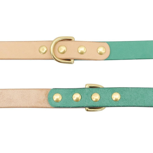 Load image into Gallery viewer, Personalised dog collar with engraving of name and phone number