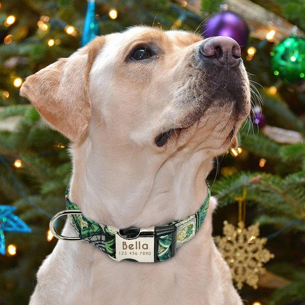 Load image into Gallery viewer, personalised pet collar with engraving