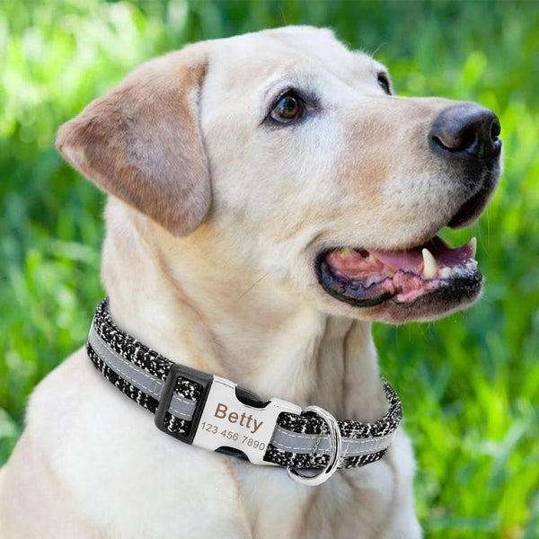 Load image into Gallery viewer, Speckle - Personalised Collar