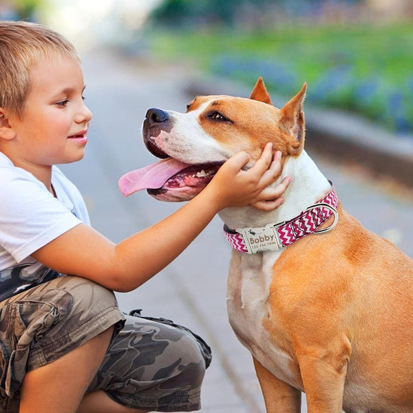 Load image into Gallery viewer, Personalised dog collar with engraving of name and phone number