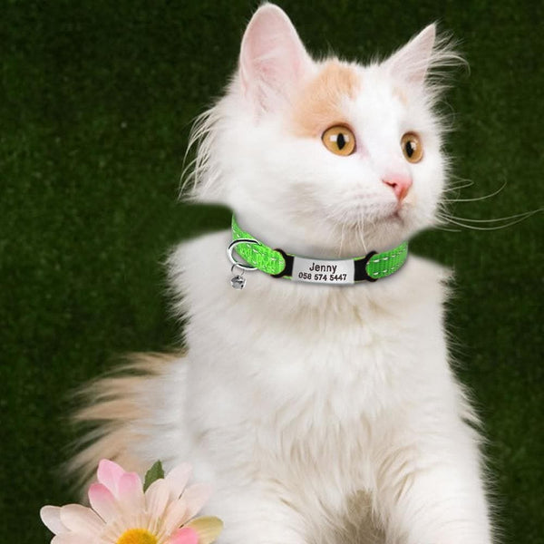 Load image into Gallery viewer, personalised cat collar with engraving