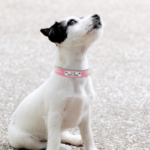 Load image into Gallery viewer, Sparky - Personalised Collar