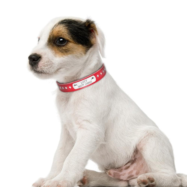 Load image into Gallery viewer, Sparky - Personalised Collar