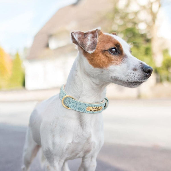 Load image into Gallery viewer, personalised pet collar with engraving