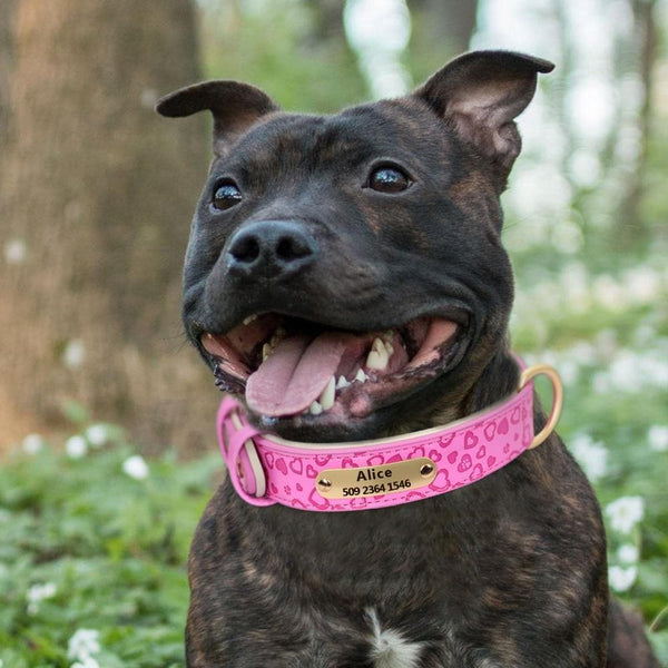 Load image into Gallery viewer, personalised pet collar with engraving