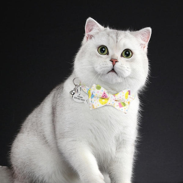 Load image into Gallery viewer, Fruit Smoothie - Personalised Collar