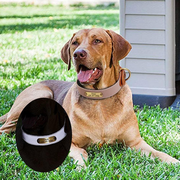 Load image into Gallery viewer, personalised dog collar with engraving