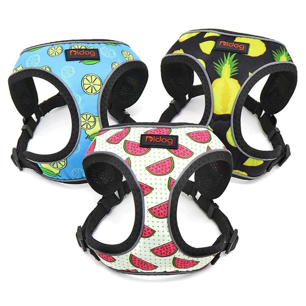 Load image into Gallery viewer, Fruit print pet harness adjustable and reflective